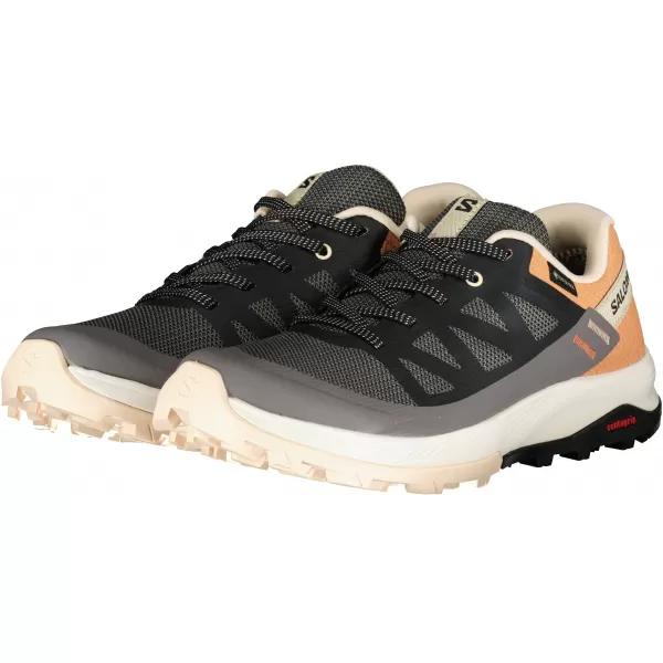  Ženski čevlji SALOMON OUTRISE GORE-TEX L47219100 MAGNET/ČRNO/KORALNO ZLATO 