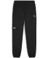 Moške hlače PUMA DESERT ROAD CARGO PANTS 678923-01 ČRNA