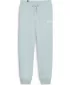 Ženske hlače PUMA ESS+ SMALL LOGO HW PANTS TR 678744-22 MODRA