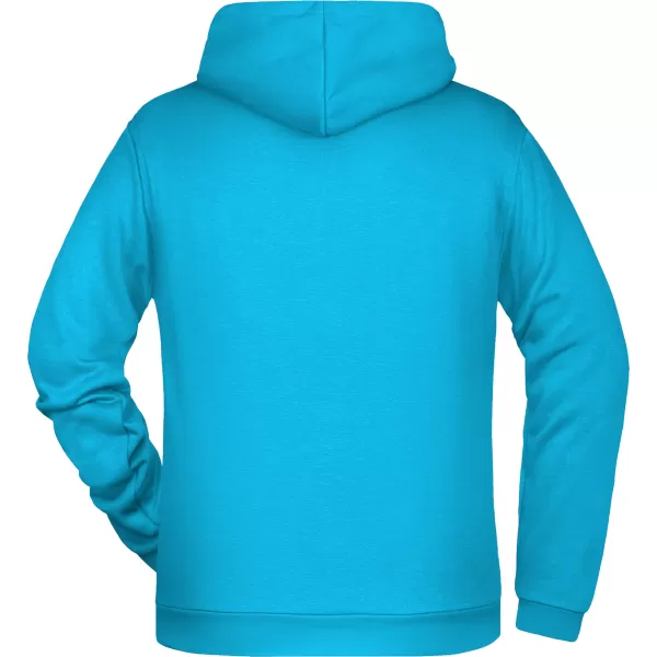  Moški pulover ALTISPORT NoPrint NP/ALM697NJ TURKIZNA 