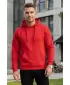 Moški pulover ALTISPORT NoPrint NP/ALM697NJ IZD