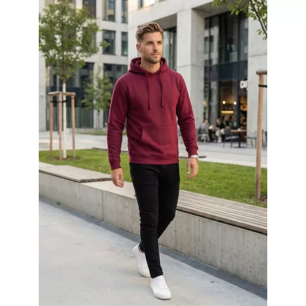  Moški pulover ALTISPORT NoPrint NP/ALM697NJ VINO 