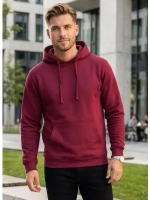 Moški pulover ALTISPORT NoPrint NP/ALM697NJ VINO