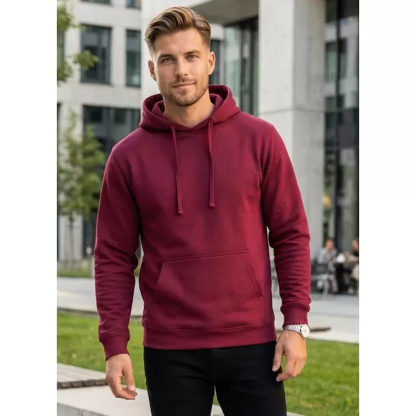  Moški pulover ALTISPORT NoPrint NP/ALM697NJ VINO 