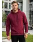 Moški pulover ALTISPORT NoPrint NP/ALM697NJ VINO