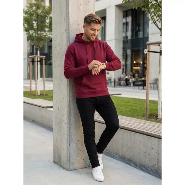  Moški pulover ALTISPORT NoPrint NP/ALM697NJ VINO 