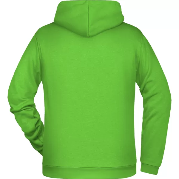  Moški pulover ALTISPORT NoPrint NP/ALM697NJ ZELENA LIMETA 