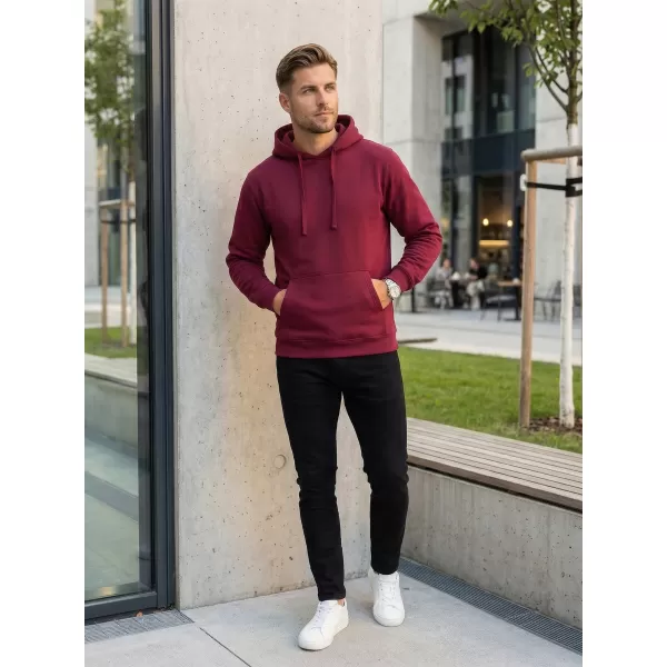  Moški pulover ALTISPORT NoPrint NP/ALM697NJ VINO 