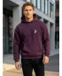 Moški pulover ALTISPORT BYB/ALM002BY284 BORDO