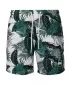 Kratke hlače URBAN CLASSICS TB2679 PALM LISTI