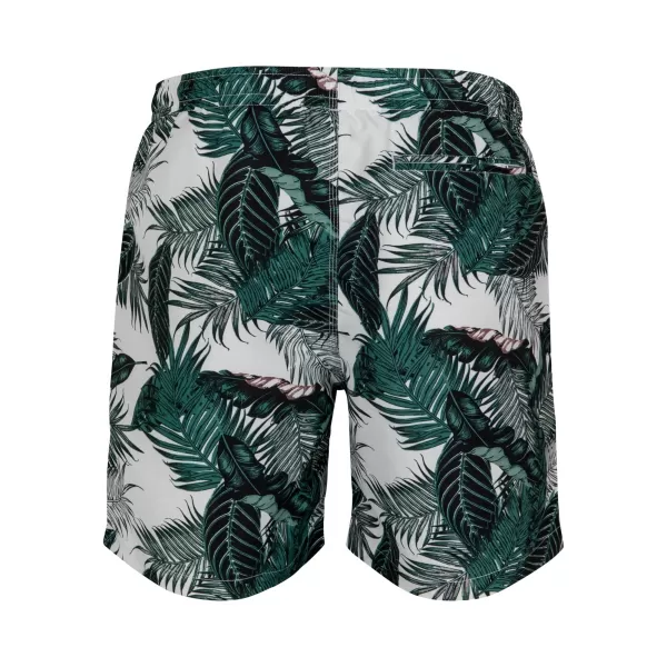  Kratke hlače URBAN CLASSICS TB2679 PALM LISTI 
