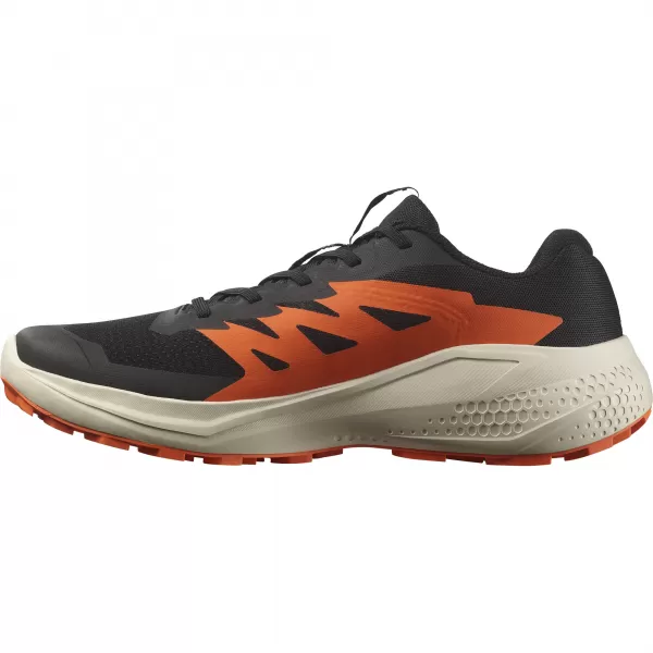  Moški čevlji SALOMON ALPHAGLIDE L47801100 ČRNA/DEŽEVEN DAN/RDEČA ORANŽNA 