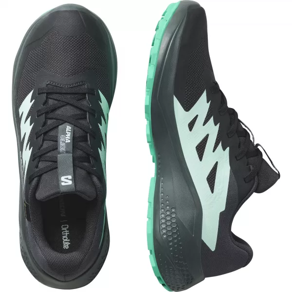  Ženski čevlji SALOMON ALPHAGLIDE GTX W L47802400 FANTOMSKI/URBANI ŠIK/SLAP 