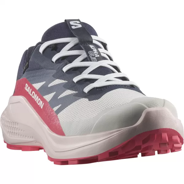  Ženski čevlji SALOMON ALPHAGLIDE GTX W L47802300 LUNARNI KAMEN/MODRE NOČI/RDEČE RDEČE 