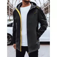 Siva