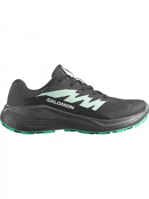 Ženski čevlji SALOMON ALPHAGLIDE GTX W L47802400 FANTOMSKI/URBANI ŠIK/SLAP