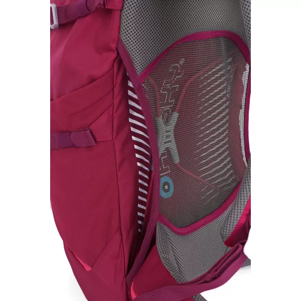  Nahrbtnik HUSKY CINGY 30 MAGENTA 