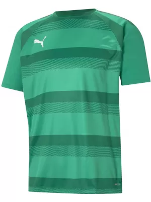 Moška funkcionalna majica PUMA TEAMVISION JERSEY 704921_05 PEPPERGREEN/POWERGREEN/WHITE