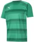 Moška funkcionalna majica PUMA TEAMVISION JERSEY 704921_05 PEPPERGREEN/POWERGREEN/WHITE