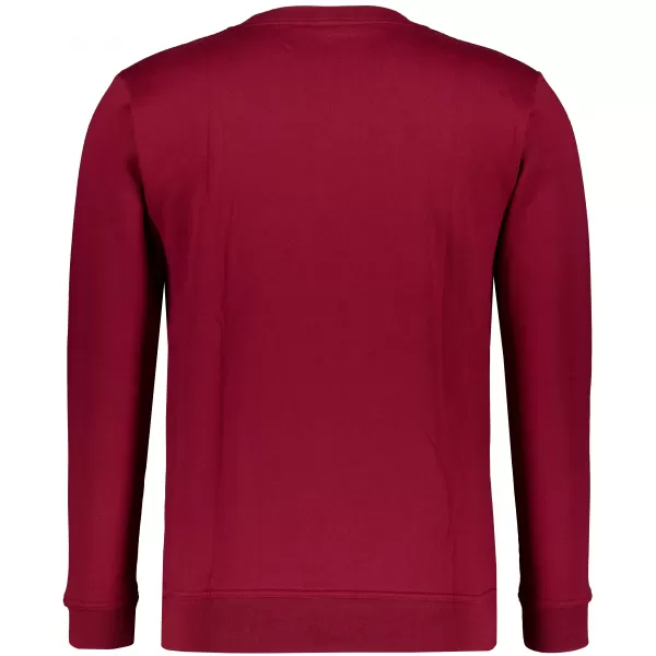  Moški pulover ALTISPORT ALM190406 GRANAT 