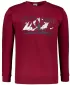 Moški pulover ALTISPORT ALM190406 GRANAT
