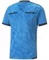 Nogometni dres PUMA TEAMLIGA REFEREE JERSEY 705452_18 BLEU AZUR/ BLEU AZUR/PUMA BLACK