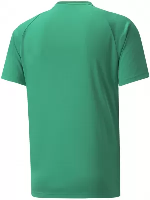 Moška funkcionalna majica PUMA TEAMVISION JERSEY 704921_05 PEPPERGREEN/POWERGREEN/WHITE