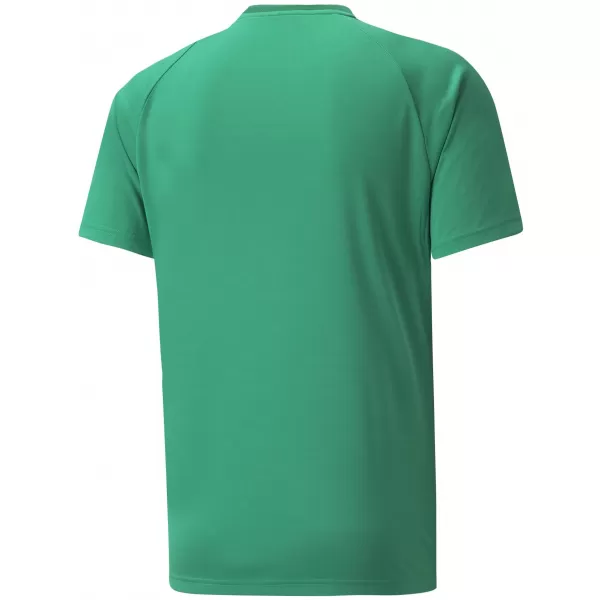  Moška funkcionalna majica PUMA TEAMVISION JERSEY 704921_05 PEPPERGREEN/POWERGREEN/WHITE 