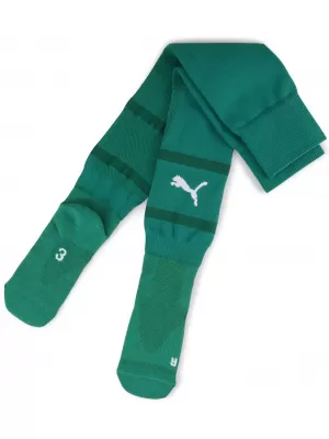 Nogometne nogavice PUMA TEAMFINAL SOCKS 705746_05 SPORT GREEN/ SPORT GREEN/PUMA WHITE