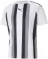 Moška funkcionalna majica PUMA TEAMLIGA STRIPED JERSEY 704920_04 PUMA BELA/PUMA ČRNA