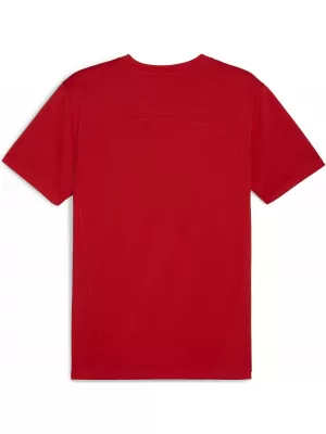 Moška funkcionalna majica PUMA TEAMFINAL TRAINING JERSEY 658557_01 PUMA RED/PUMA SILVER