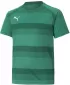 T -majica PUMA TEAMVISION JERSEY JR 704928_05 PEPPERGREEN/POWERGREEN/WHITE