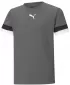 Otroški nogometni dres PUMA TEAMRISE JERSEY JR 704938_13 PREKAJEN BISER/ČRNA/BELA