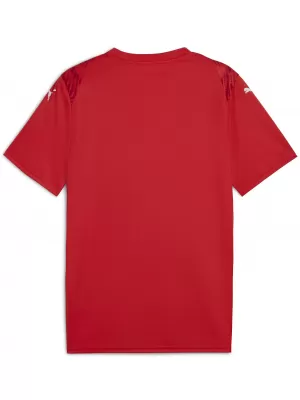 Moški dres PUMA TEAMULTIMATE JERSEY 706280_01 PUMA RED/PUMA WHITE