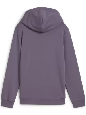 Otroška jopica PUMA NEYMAR JR CREATIVITYHOODIEJR 660100_01 VIJOLIČNO OGLJE