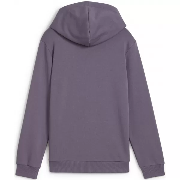  Otroška jopica PUMA NEYMAR JR CREATIVITYHOODIEJR 660100_01 VIJOLIČNO OGLJE 