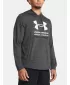 Moški pulover UNDER ARMOUR RIVAL TERRY GRAPHIC HOOD 1386047-025 SIVA