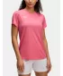 Ženska majica s kratkimi rokavi UNDER ARMOUR WS CH. TRAIN SS 1379603-672 ROZA