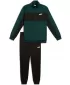 Moški komplet PUMA POLY COLORBLOCK SUIT 687304-75 ZELENA