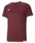 Srajca PUMA TEAMLIGA JERSEY 704917_09 CORDOVAN/ CORDOVAN/PUMA BELA