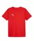 Moški dres PUMA TEAMRISE MATCHDAY JERSEY 706132-01 RDEČA