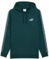 Moški pulover PUMA ESS TAPE HOODIE FL 684675-75 ZELENA
