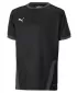 T -majica PUMA TEAMGOAL 23 JERSEY JR 704160_03 PUMA ČRNA/ASFALT